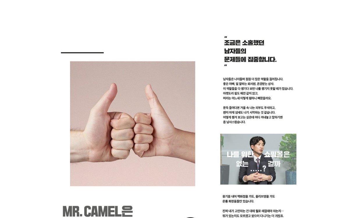 Snowball Brand portfolio 화면